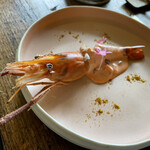 Terroir愛と胃袋 - 