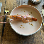 Terroir愛と胃袋 - 