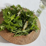 シルー - ヨモギ