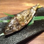 Ebisuya Hanare - ■鮎の塩焼き