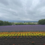 ファーム富田 - 