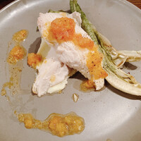 coci - 
