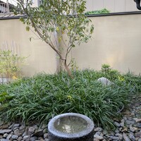 室町 唯 - 