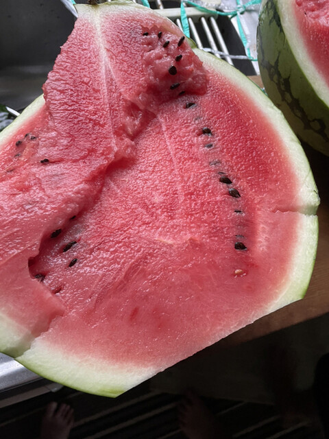 笹原西瓜農園 - 大石田（その他）の写真