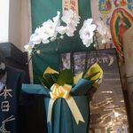 中華ソバ 伊吹 - 