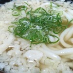 よこた手打うどん - かけ