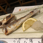 Genki Zushi - 