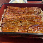 うなぎ 宮川 - 鰻重頂い　アップ