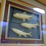 やまに料理店 - ハスの剥製を入れた額