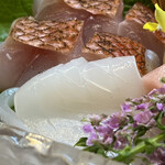 醍醐 - 赤いか
      ねっとり感が良い❗️