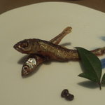 ・はすの山椒煮
          