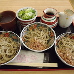 Ippitsu Keijou Diya Soba Dokoro - 「手打ち辛味おろしそば大盛」800円