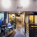 Seed - 