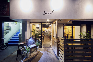 Seed - 