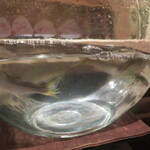 研覃 ほりべ - 元気いっぱいの鮎　後ほど塩焼きで登場します