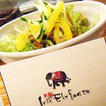 Irie Elefante - 