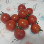 松原農園 - ミディトマト