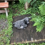 ウエムラ・ベース - 