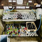 国見温泉 森山荘 - ペットボトル･缶ジュース
日本酒 ワンカップ･ノンアルコール ビール･缶チューハイ･オロナミンC･缶ビール 350ml･500ml･冷酒(生酒)