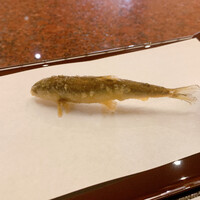 京都祇園 天ぷら八坂圓堂 -  京都祇園 天ぷら八坂圓堂 -