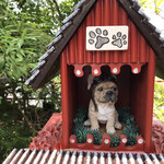 オークウッド - 