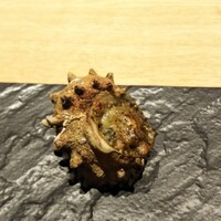 ガストロノミーソール ヤナギヤ - 