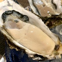 四ツ橋・新町 牡蠣と肉たらしビストロAKIRA - 見てみて〜！このぷっくり感❤️