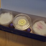 JAL PLAZA 新千歳空港 出発ロビー店 - 