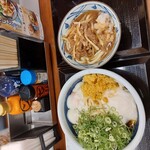 Marugame Seimen - 特盛と並の違いが歴然