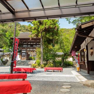 松尾大社の楼門を眺めながらお食事をお楽しみいただけます。