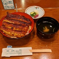 吉寅 - 