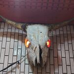 一条流がんこ総本家分家四谷荒木町 - 