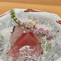 しゅん逢 紗々木 - 【お昼の懐石】お造り