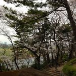 大黒堂 - 多摩川台公園から多摩川を＠2013/3