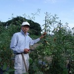 かえん - 無農薬野菜を前橋の吉澤さんから調達してます。