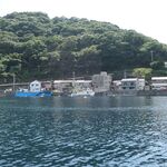 Shinkaigyoryouriuoshigeshokudou - （おまけ）海から眺める戸田の集落。裏手を車で通ったことはあるが、また新鮮な眺めです