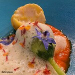 カーサ・デル・チーボ - 南瓜の花に詰められた帆立貝柱と帆立のムース