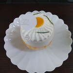 CALVA - マングー