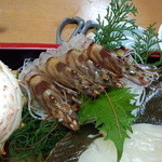 かに愛知屋 - 刺し盛り（クルマエビ）