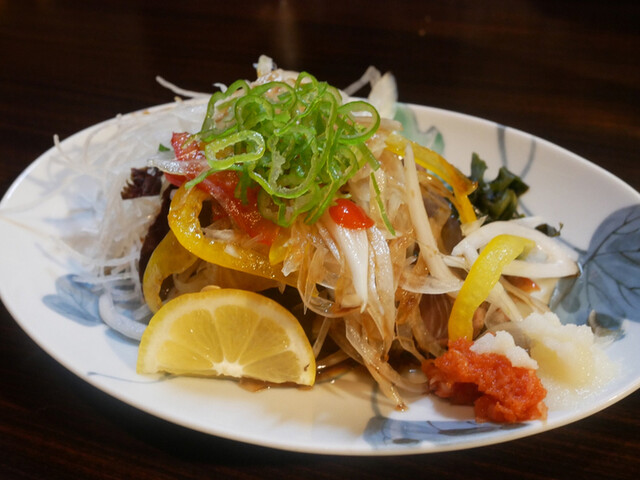 Shuko Kibayashi photo 3