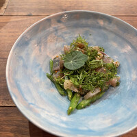 セルサルサーレ - 