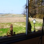 樹の下 - 窓辺からの眺め