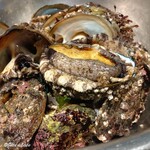 カーサ・デル・チーボ - 八戸産のエゾアワビ