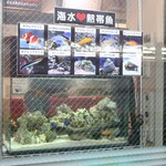 ラーメン二郎 - 海水熱帯魚