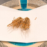 割烹 天ぷら 三太郎 - 