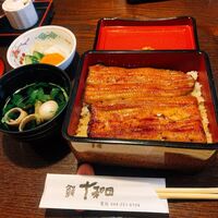 鰻 十和田 - 
