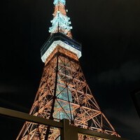 ワカヌイ グリル ダイニング バー 東京 - 