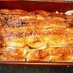 うなぎ 魚政 - 坂東太郎（上）