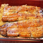 うなぎ 魚政 - 国産うなぎ