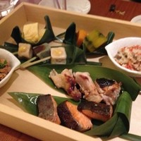 茶茶 このか - 